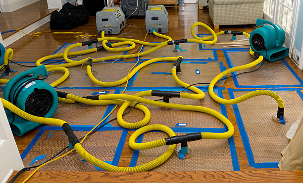 Professional Crawl Space Water Removal technician working in Elsie, MI